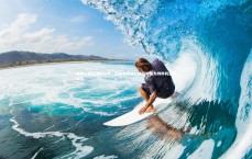 【九游体育】鲍威尔赛后深情吐露，此役是我漫长生涯中最为纯粹的篮球体验