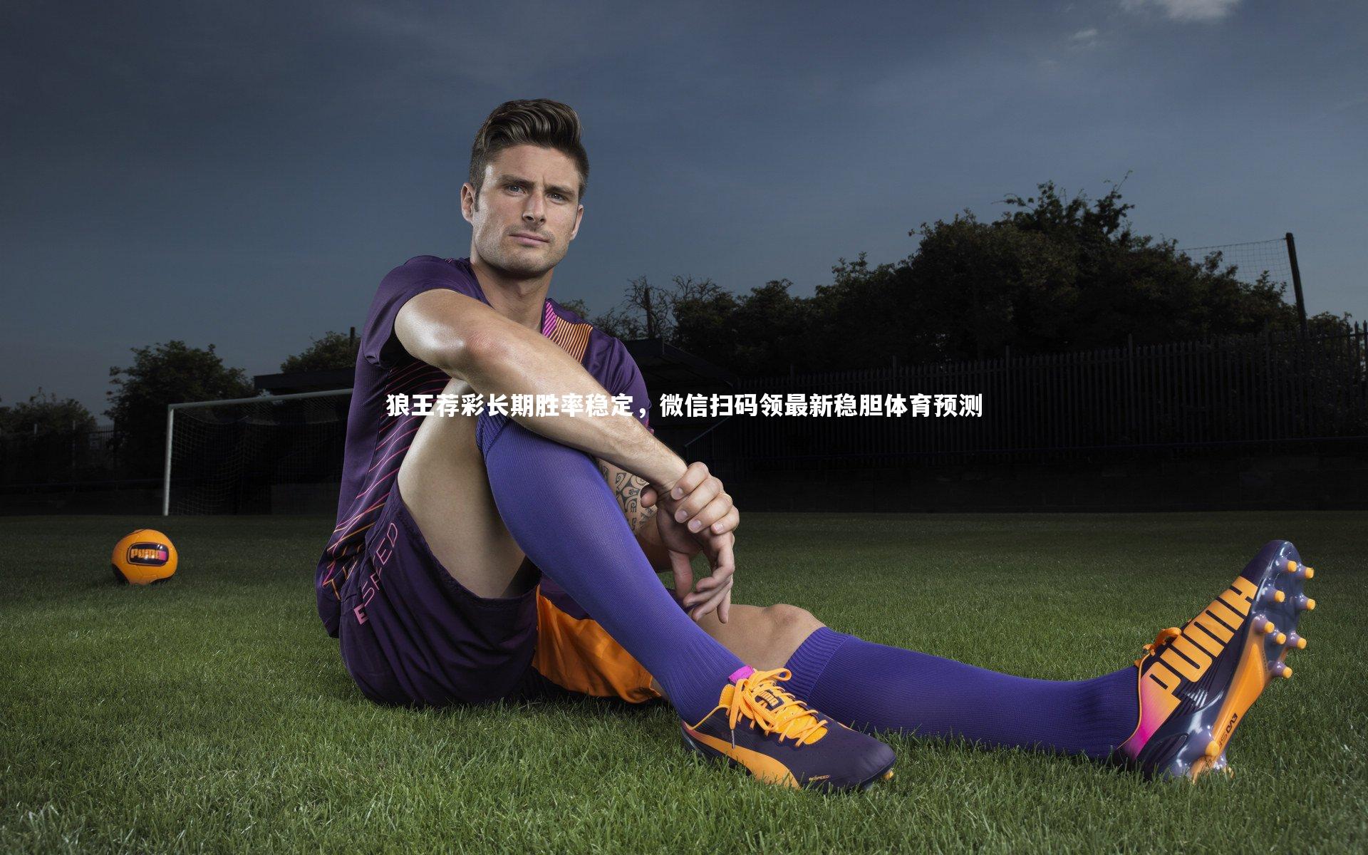狼王荐彩长期胜率稳定，微信扫码领最新稳胆体育预测